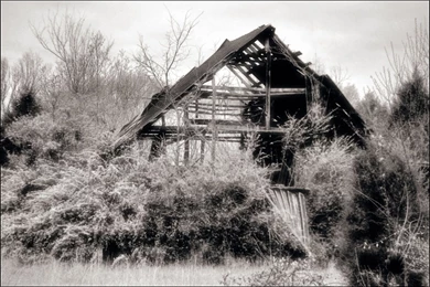 Download Old Barn Wallpapers 1920x1282