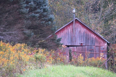 Old Country Barn   (