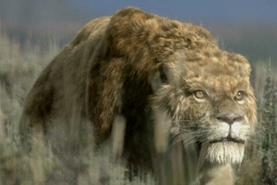 Sabre Tooth Cat: Predator By Design   Ice Age Giants   Episode 1 ...