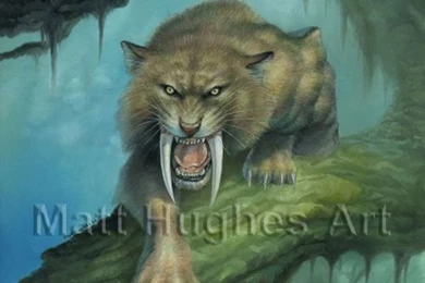 Saber Tooth Tiger By Giovannag On DeviantArt