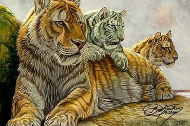 Sabertooth Family By Damalia On DeviantArt