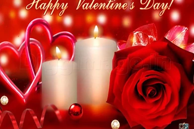 Happy Valentines Day I Love You So Much   St. Patrick's Day 2016