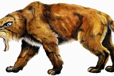 RIOT Art Contest]   Sejuani Saber toothed Tiger   Polycount