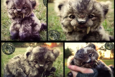 SOLD  HAND MADE Poseable Baby Sabertooth Tiger! By Wood Splitter ...