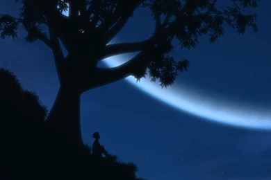 High Definition Mobile Phone Wallpapers 720x1280 Hd