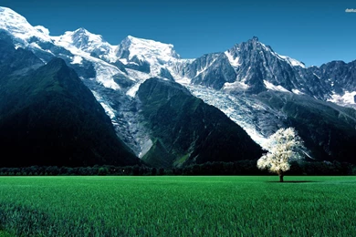 Beautiful Mountain Meadow Wallpapers   Nature Wallpapers