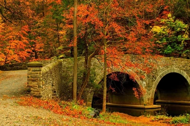 Nature Road Leaves Trees Forest Park Bridge Colorful Path Autumn ...