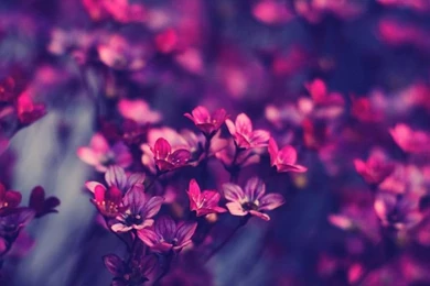 Ipad Wallpapers Tumblr Hd   Wallpapers