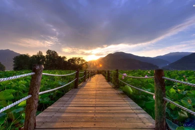 Beautiful Sunrise On The Bridge Wallpapers