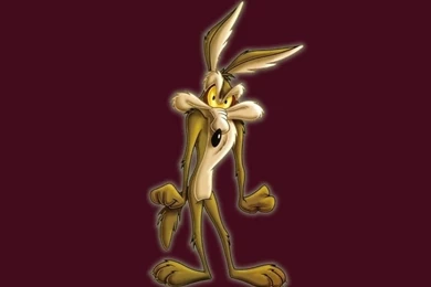 Wile E Coyote ... BEEP BEEP   WileE Quixote Wallpapers (7263300 ...