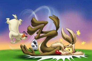 Wile E Coyote ... BEEP BEEP   WileE Quixote Wallpapers (7263943 ...