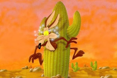 Wile E Coyote ... BEEP BEEP   WileE Quixote Wallpapers (7263305 ...