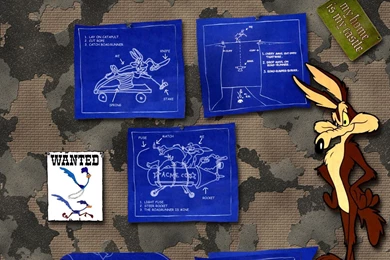 Wile E Coyote Computer Wallpapers, Desktop Backgrounds