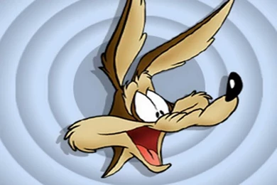 Wile E Coyote High Resolution HD Wallpapers   All HD Wallpapers