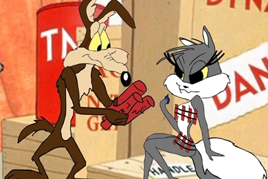 Wile E Coyote High Resolution HD Wallpapers   All HD Wallpapers