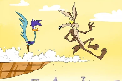 Wile E. Coyote And Road Runner By FabulousESPG On DeviantArt