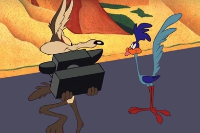 Wile E Coyote ... BEEP BEEP   WileE Quixote Wallpapers (7263283 ...