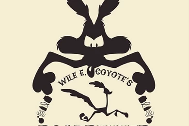 Wile E. Coyote's Roadrunner Hunting By Trekvix On DeviantArt