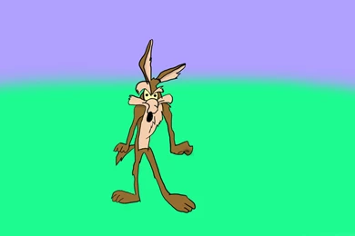 WILE E COYOTE ROAD RUNNER Looney Fw Wallpapers
