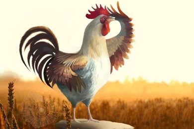 Good Morning, World   Pictures Collection Free Download ...