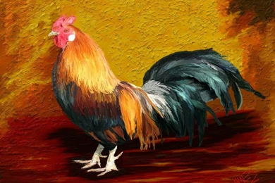 Little Red Rooster By Artdigitalpaintings On DeviantArt