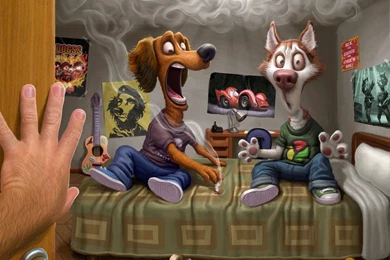 HD Wallpapers Desktop: Funny 2 HD Wallpapers