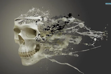 Liquefied Skull Wallpapers   Digital Art Wallpapers