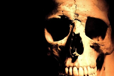 Skull Human Abstract HD Wallpapers Wallpapers   (