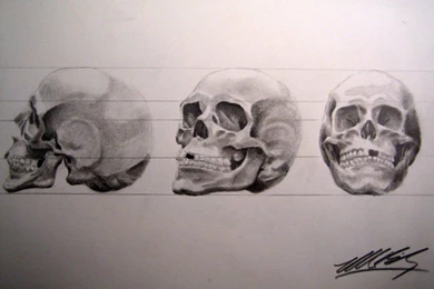 Human Skull In 3 Point Turn By MikeBailey1979 On DeviantArt