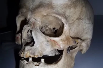 DeviantArt: More Like Mortality At Its Finest By Acesarek