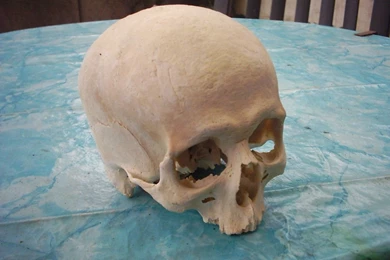 Browsing Horror & Macabre On DeviantArt