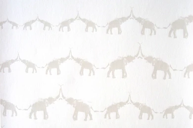 Animal Skin Print Wallcovering Patterns