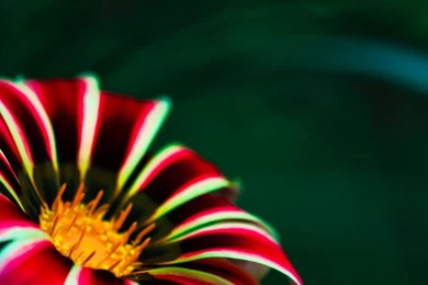 Wallpapers Htc One M9 Awesome Hi Quality