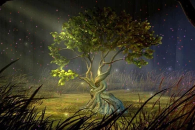 Dreamscene.org   Gallery/Download   Free Dreamscenes, Video Loops ...