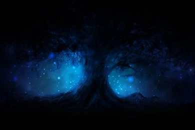 Dreamscene.org   Gallery/Download   Free Dreamscenes, Video Loops ...