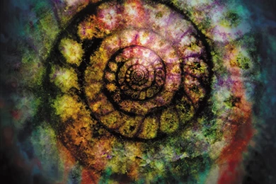 Wallpapers & Desktop Pictures