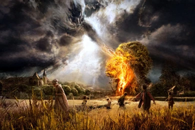 1451 Creature HD Wallpapers