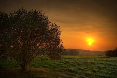 Mystic Wallpapers   70307