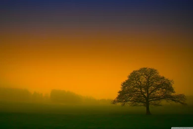 Mystic Wallpapers » WallDevil   Best Free HD Desktop And Mobile ...