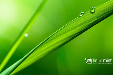 My Minty Wallpapers Collection 2014   Linux Mint Forums