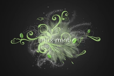 1007 "Computer" HD Wallpapers