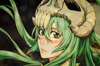 NEL   Neliel Tu Oderschvank Wallpapers (34292922)   Fanpop