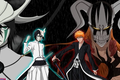 Bleach Wallpapers Nel