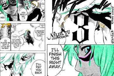 BLEACH Wallpapers   Chapter 291   Cursenamedlove