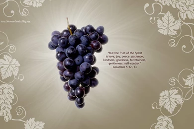 Love Wallpapers And Backgrounds