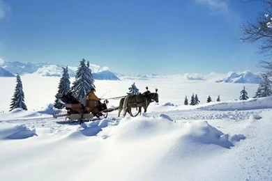 Bing Wallpapers For Desktop Free Download 21 Dec 2012