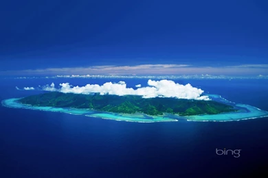 Bing Backgrounds Free Wallpapers Wallpapers   HD Wallpapers 84261