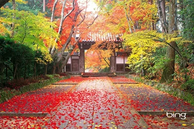 Microsoft Bing HD Wallpapers: Japanese Landscape Theme Wallpapers ...