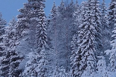 Download Wallpapers 1080x1920 Full Moon, Night, Sky, Road, Lifting ...