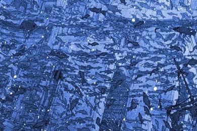 Full HD 1080x1920 Wallpapers Img 4